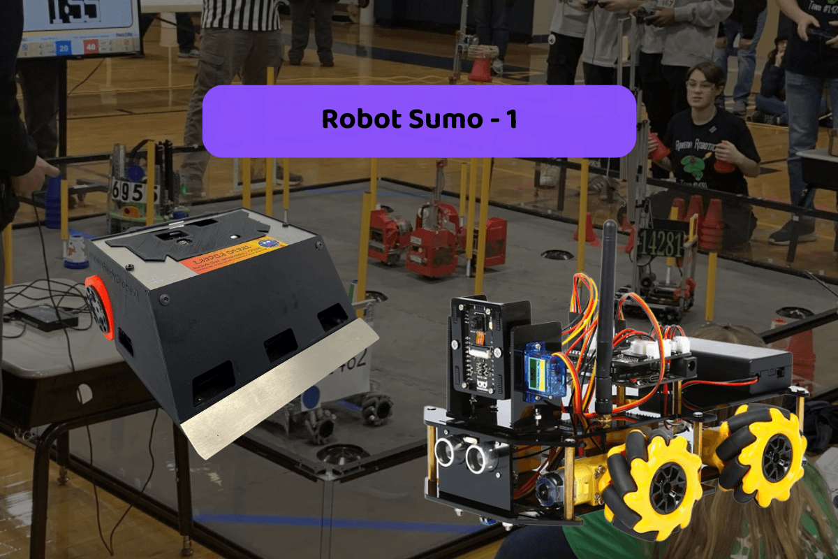 Robot Sumo 1